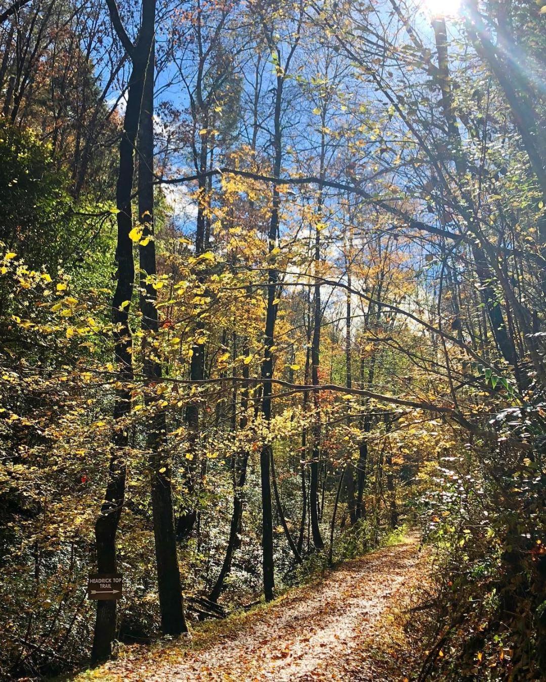 Horseshoe Hideaway セバービル エクステリア 写真